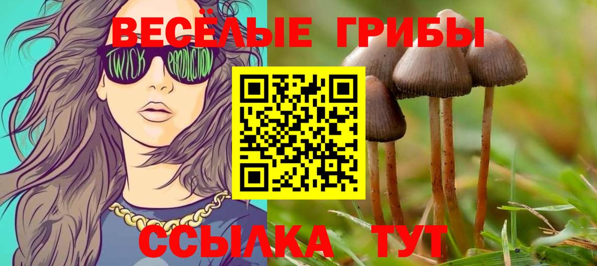 Галлюциногенные грибы Psilocybine cubensis  Галлюциногенные грибы MAGIC MUSHROOMS  Тамбов  Вход с VPN 