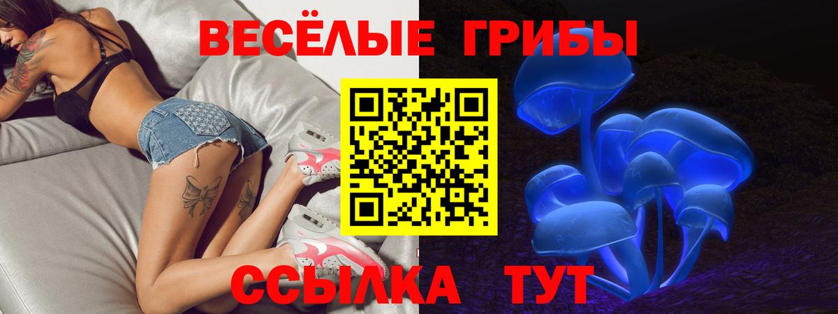 Галлюциногенные грибы Psilocybe Тамбов